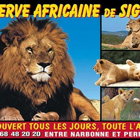 סיג'אן Agreable Maison De Famille Sur Gite Echarou מראה חיצוני תמונה