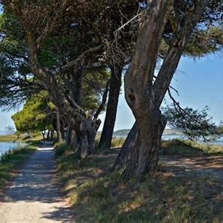 סיג'אן Agreable Maison De Famille Sur Gite Echarou מראה חיצוני תמונה