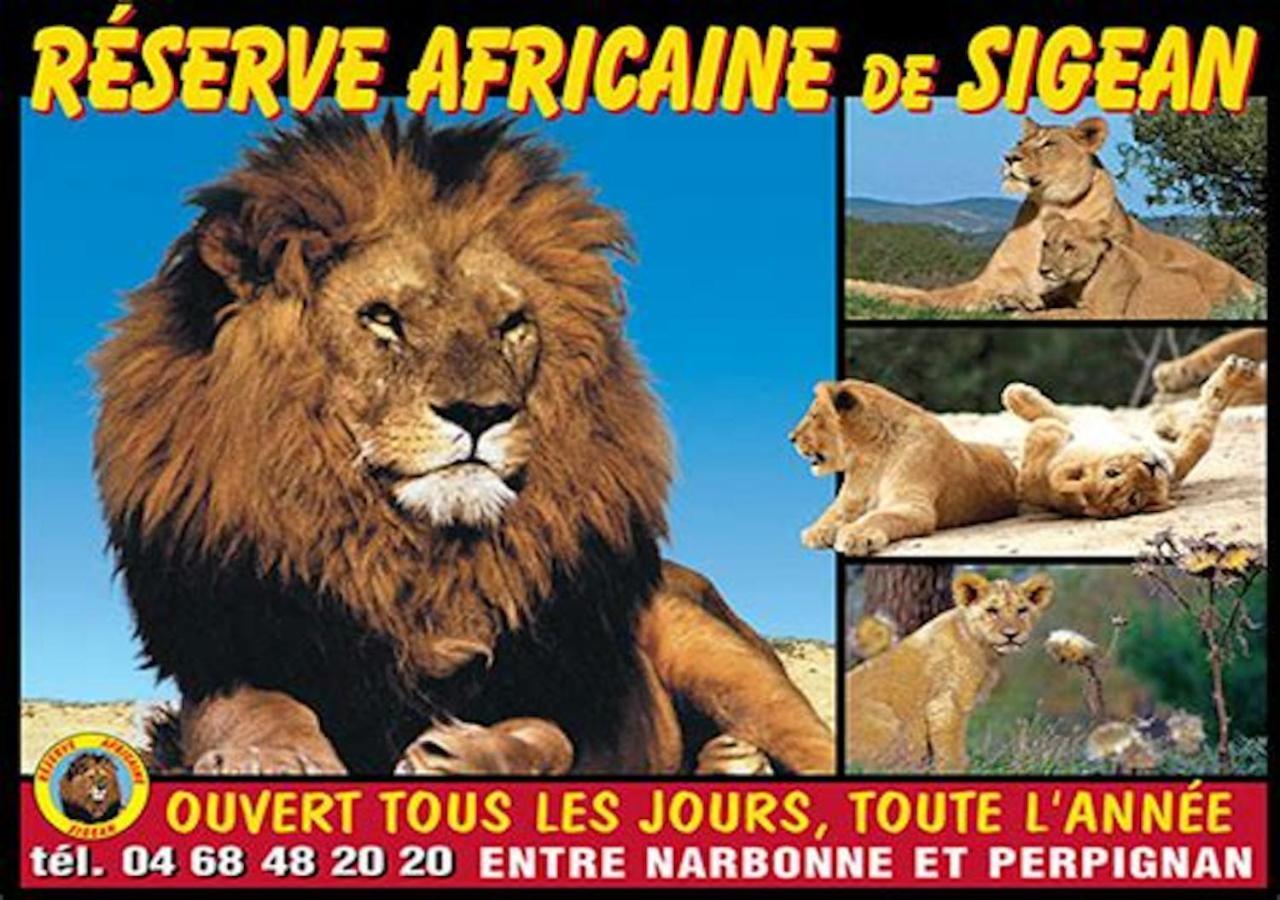 סיג'אן Agreable Maison De Famille Sur Gite Echarou מראה חיצוני תמונה