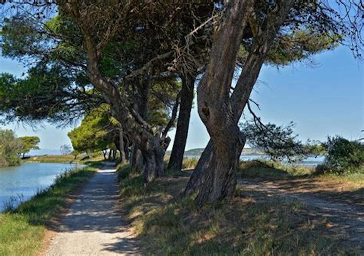 סיג'אן Agreable Maison De Famille Sur Gite Echarou מראה חיצוני תמונה